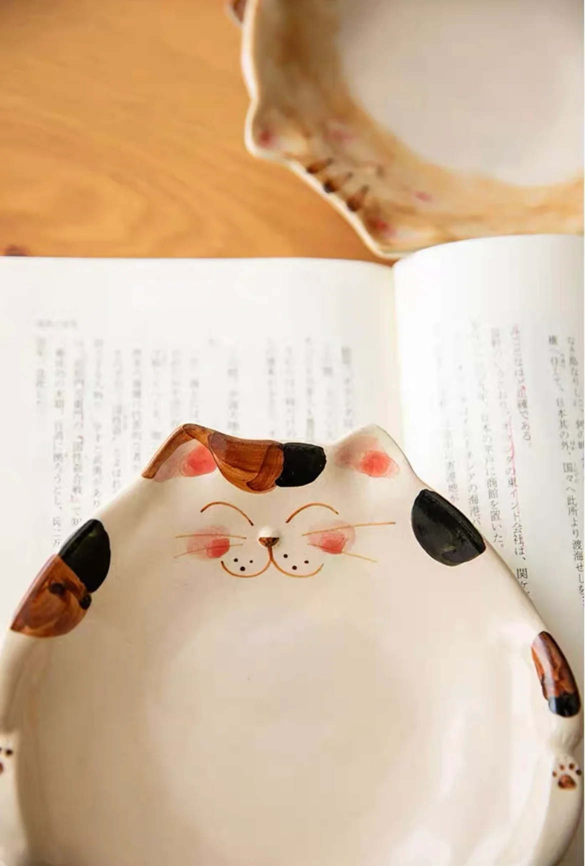 Hasami-Yaki Kikuyoshi Kiln Hand-Painted Lucky Cat Rustic Ceramic Plate - Image 13